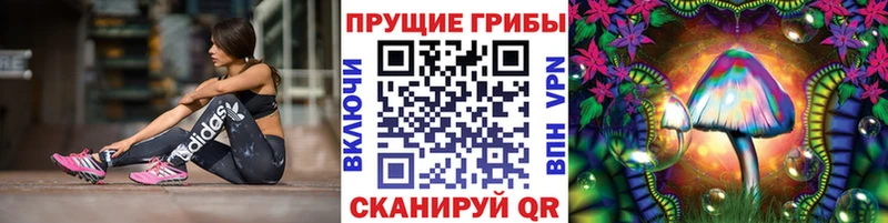 ОМГ ОМГ онион  что такое наркотик  Мегион  Псилоцибиновые грибы Psilocybine cubensis 